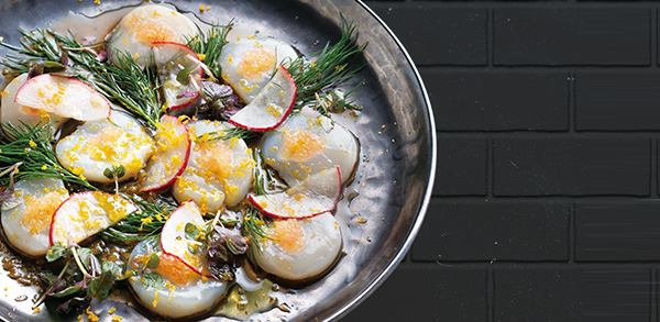 Scallop Karasumi Carpaccio Scallop Karasumi Carpaccio