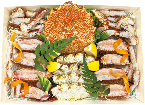 Kegani-TA